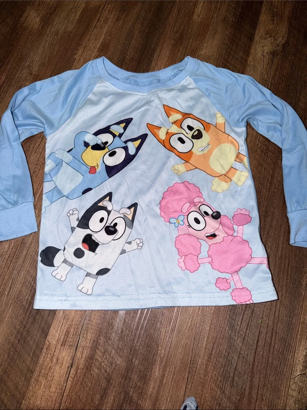 Girls Bluey 2 Piece Pajama Set Size 6 Super Soft